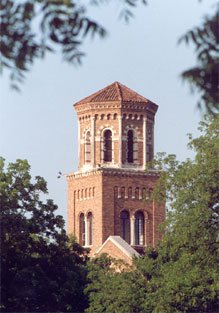 Hardin Tower through the trees.