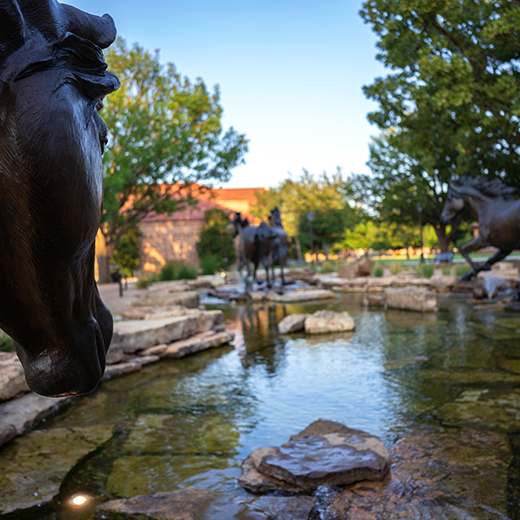 Outdoor look at the Spirit of the Mustangs statue and fountain on campus with bronze mustangs frolicking in the water.