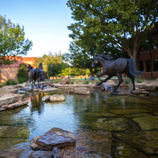 A view of two of the mustangs at the Spirit of the Mustangs.