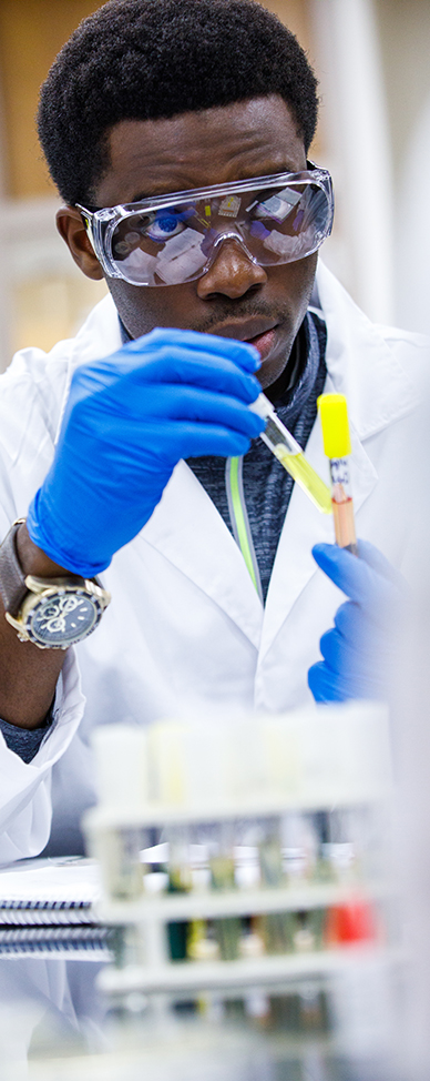 Chemistry student working with test tubes in the lab.