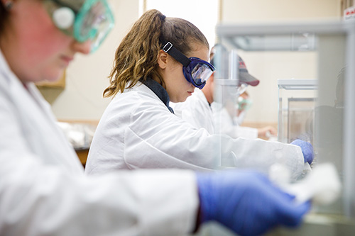 Chemistry students working in the lab.