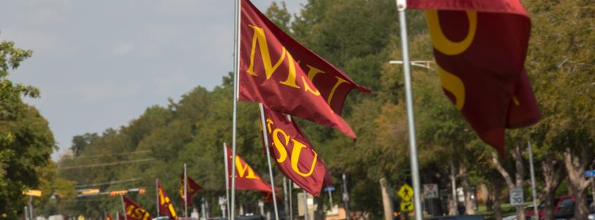 msu-flags