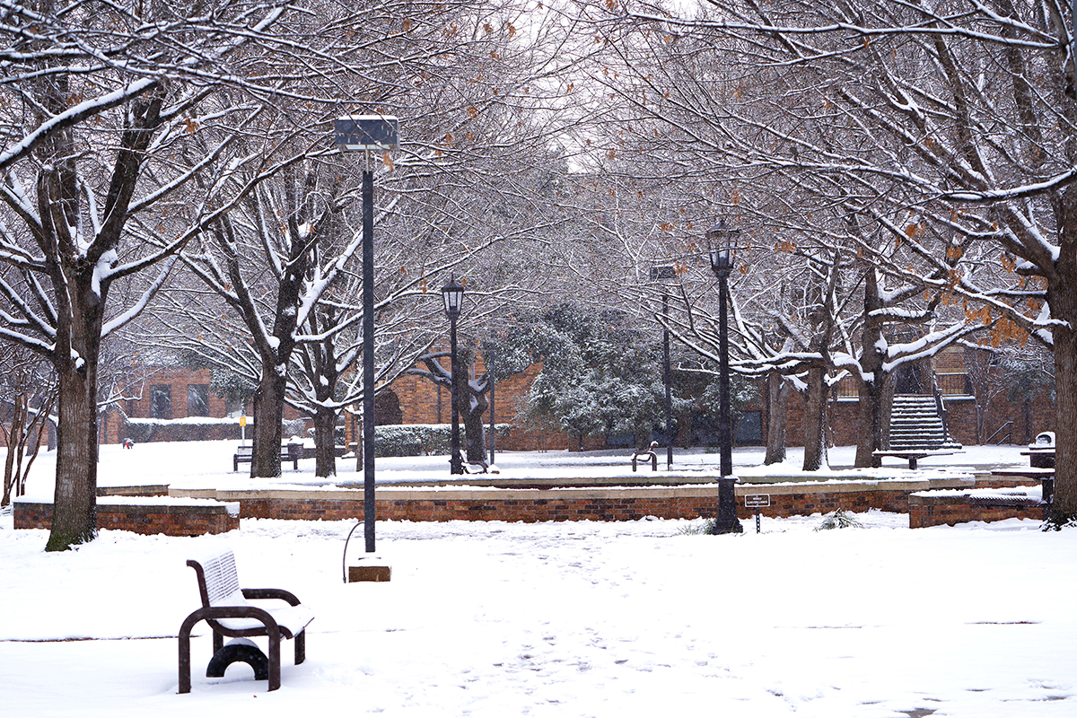 Snowstorms & Extreme Cold