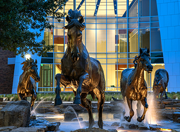 MSU Texas Viewbook