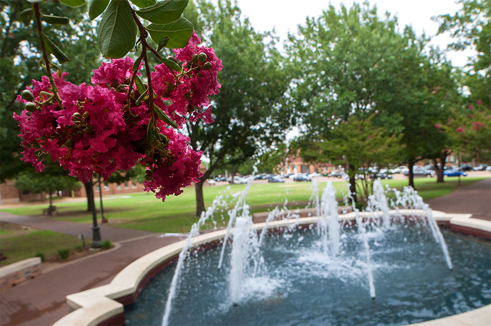 Bolin Fountain