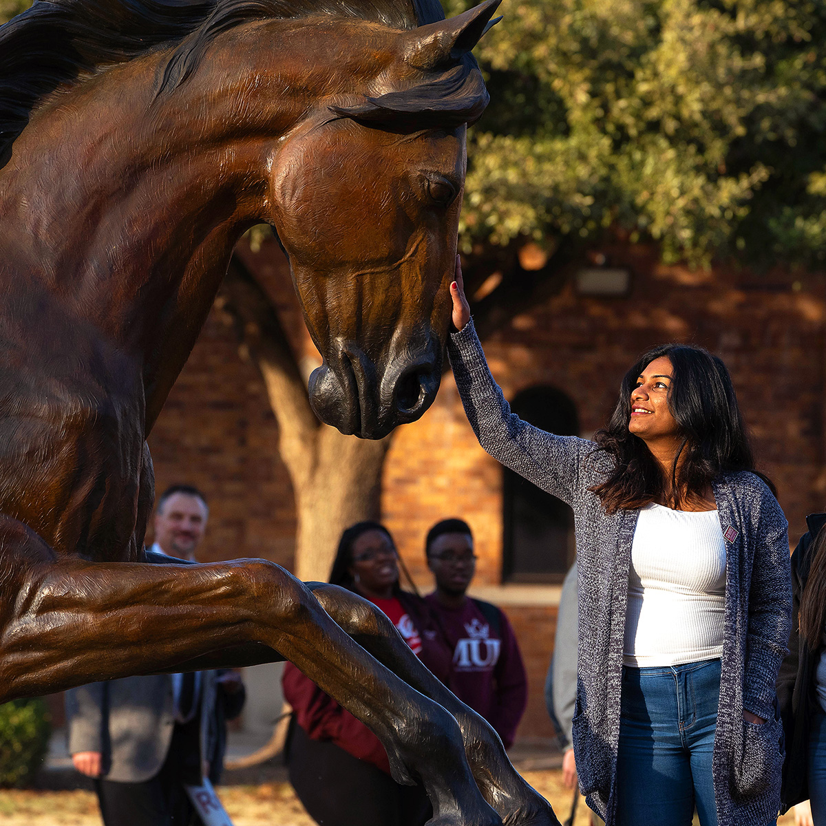 MSU Texas Senior Walk